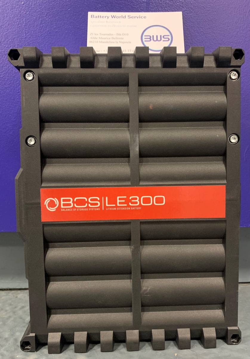 BCS LE300